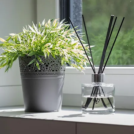 Coast Close To The With Parking & Balcony By Renters Daire *